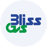 Bliss GVS Pharma Ltd share price