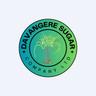 Davangere Sugar Company Ltd share price