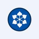 Dcm Shriram Industries Ltd