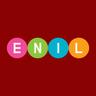 Entertainment Network (India) Ltd share price