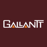 Gallantt Ispat Ltd share price