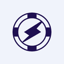 India Nippon Electricals Ltd