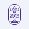 Seshasayee Paper and Boards Ltd share price