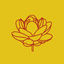Shree Digvijay Cement Company Ltd.