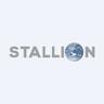 Stallion India Fluorochemicals Ltd share price