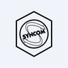 Syncom Formulations (India) Ltd share price