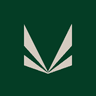 Viceroy Hotels Limited share price