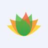 Vishnu Chemicals Ltd share price