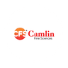 Camlin Fine Sciences Ltd share price