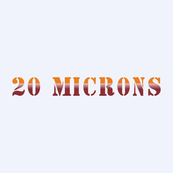 20 Microns Ltd share price