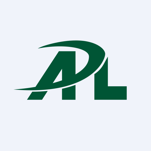 Andhra Paper Ltd share price