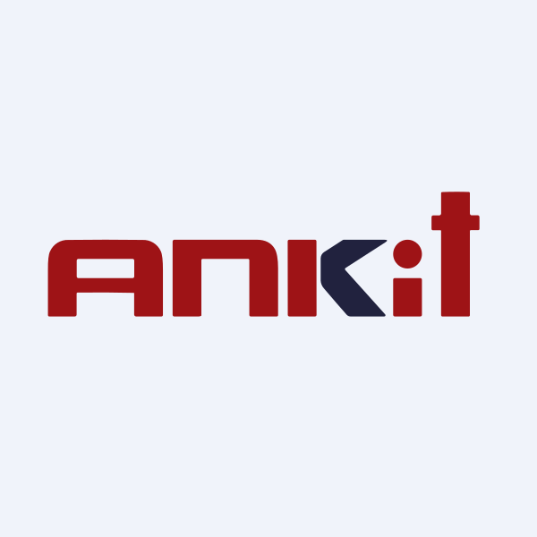 Ankit Metal & Power Ltd share price