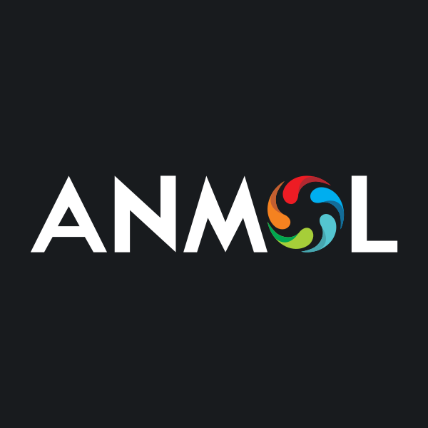 Anmol India Ltd