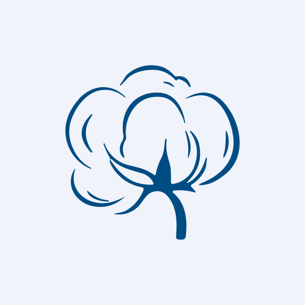 Axita Cotton Ltd share price