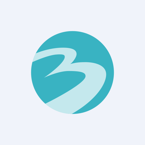 Bannari Amman Spinning Mills Ltd share price