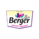 Berger Paints India share price