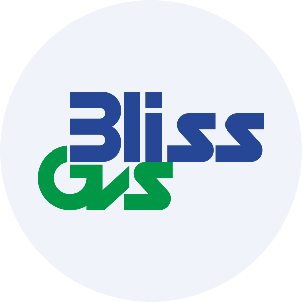Bliss GVS Pharma Ltd share price