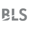BLS International Services Ltd. share price