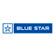 Blue Star share price