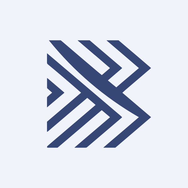 Borana Weaves Ltd share price