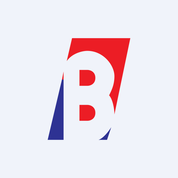 Barak Valley Cements Ltd share price