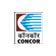 Container Corporation of India share price