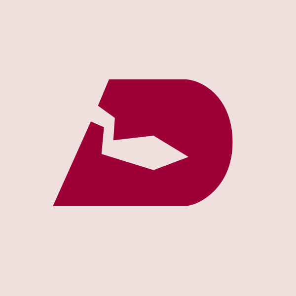Deccan Cements Ltd share price