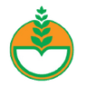 Deepak Fertilisers & Petrochemicals Corp. Ltd. share price