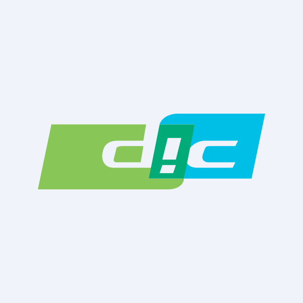 DIC India Ltd share price