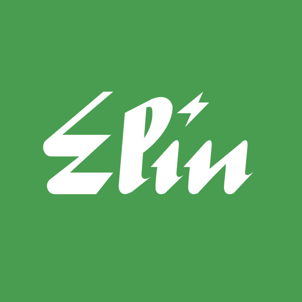 Elin Electronics Ltd share price