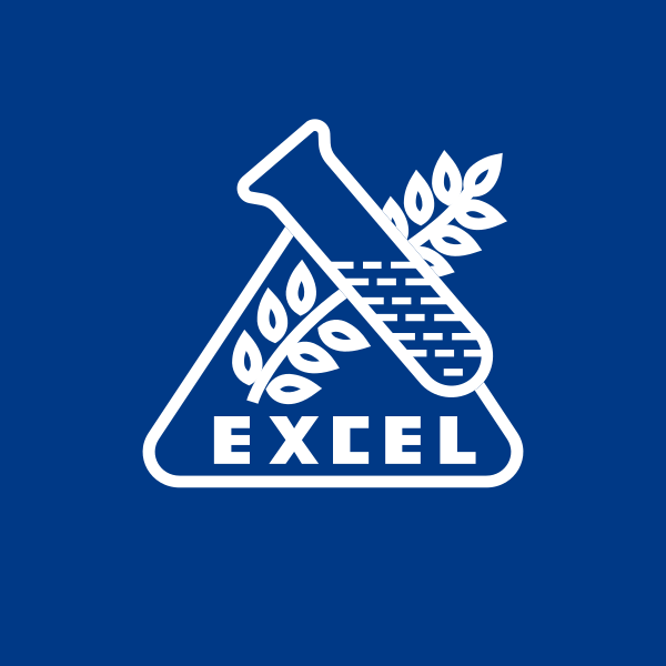 Excel Industries Ltd share price