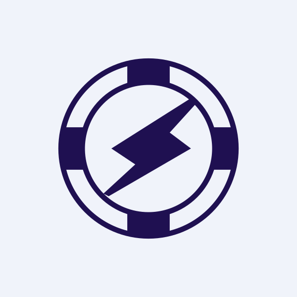 India Nippon Electricals Ltd share price