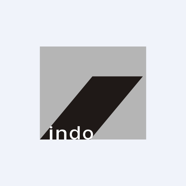 Indo Amines Ltd