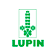 Lupin