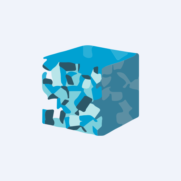 Magadh Sugar & Energy Ltd share price