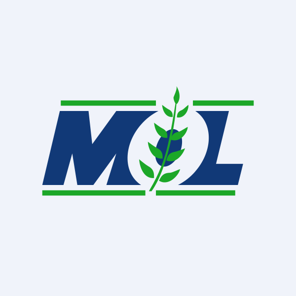 Meghmani Organics Ltd share price