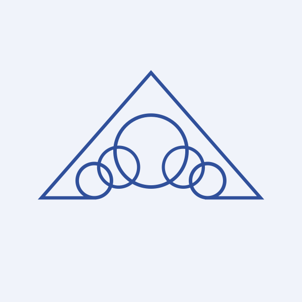NACL Industries Ltd share price