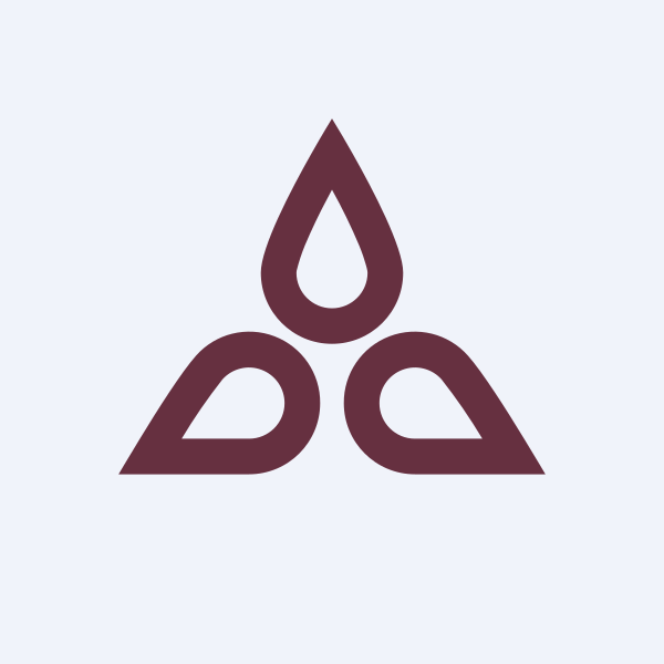 Nelcast Ltd share price