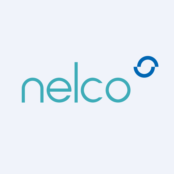 Nelco Ltd share price