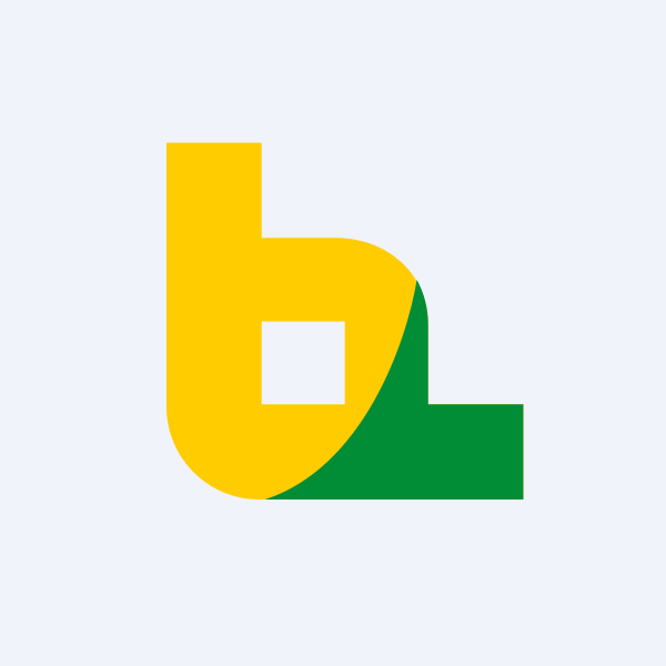 Orient Bell Ltd share price