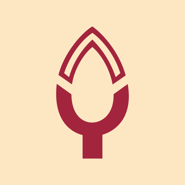 Pakka Limited share price