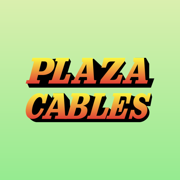 Plaza Wires Ltd