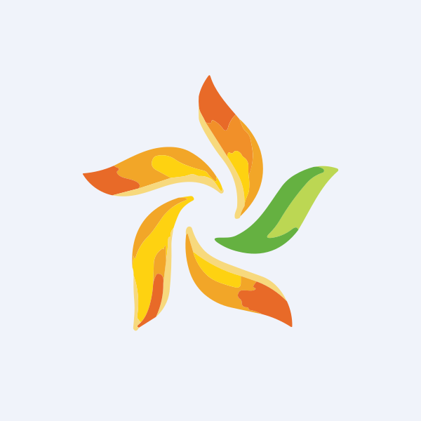 Ravindra Energy Ltd share price