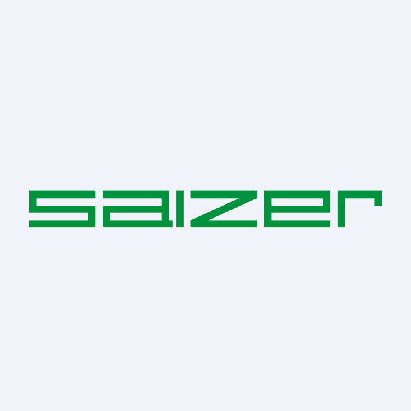 Salzer Electronics Ltd share price
