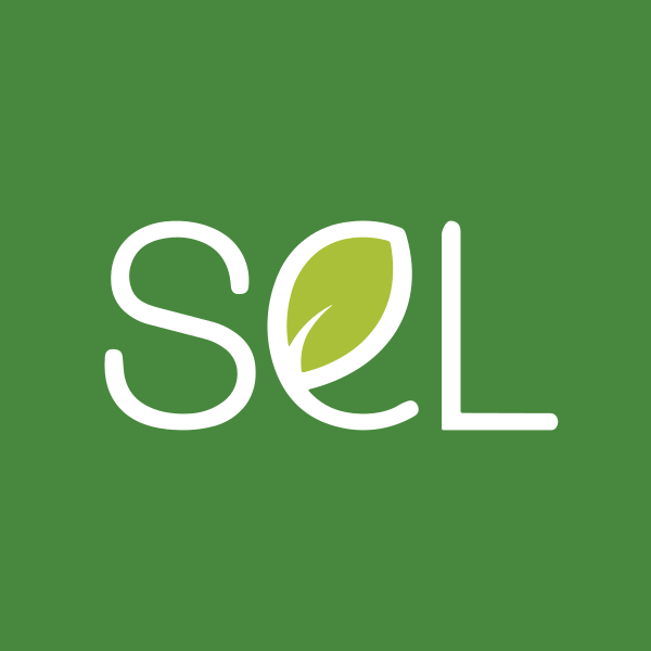 SEL Manufacturing Company Limited