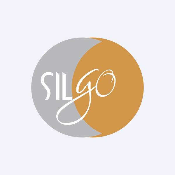 Silgo Retail Ltd share price