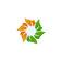 Solara Active Pharma Sciences share price