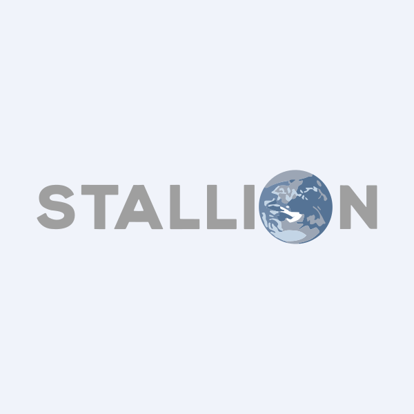 Stallion India Fluorochemicals Ltd share price