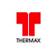Thermax share price