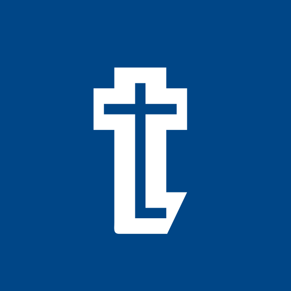Twamev Construction and Infrastructure Ltd